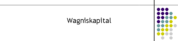 Wagniskapital